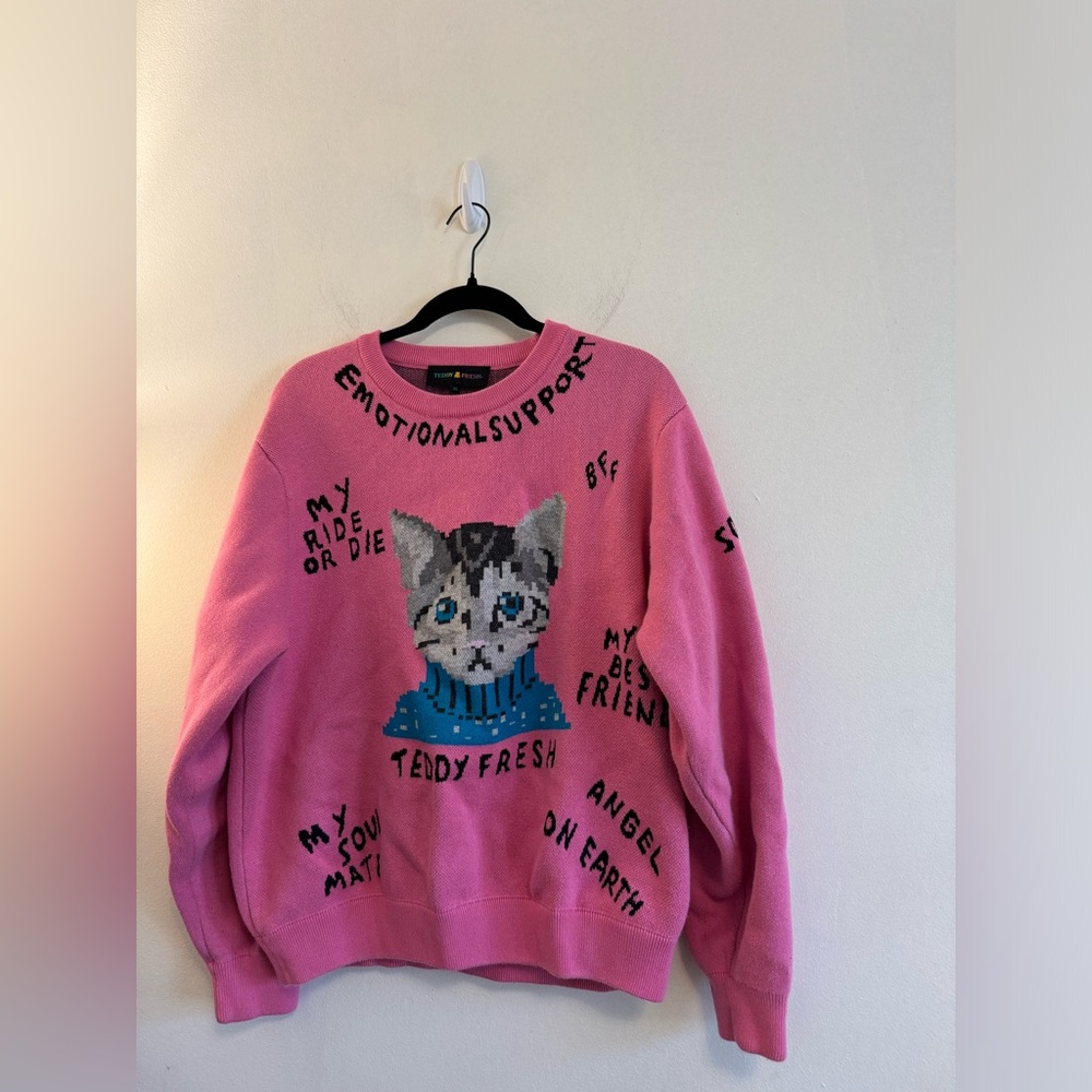 Teddy Fresh Emotional Support Cat Sweater XL